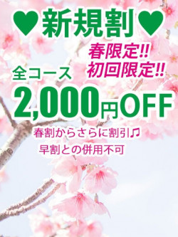 新規割